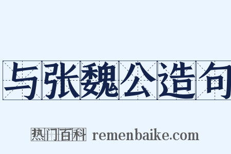 与张魏公造句是什么意思的图片